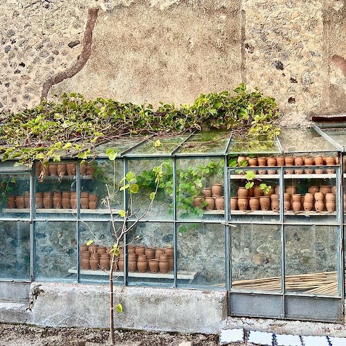 Nella Giornata nazionale del paesaggio Pompei organizza giornata didattica sulle colture antiche