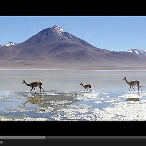 ‘Non vedo la fine’, l'esperienza di Giovanni di Tramonti in Bolivia / VIDEO