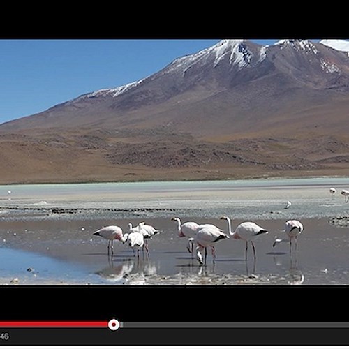 ‘Non vedo la fine’, l'esperienza di Giovanni di Tramonti in Bolivia / VIDEO