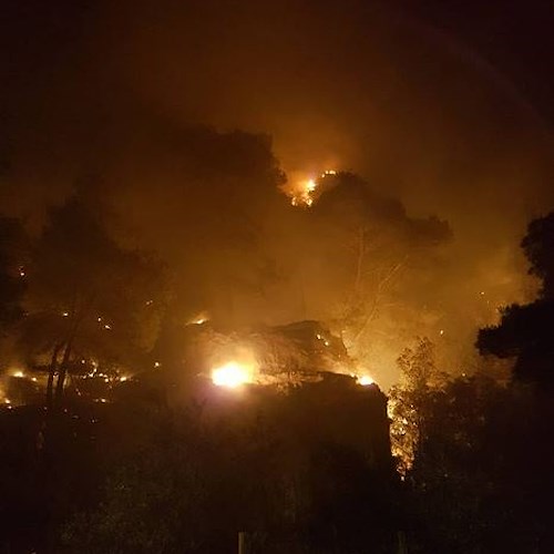 Notte d'inferno a Positano: in fiamme la pineta a Montepertuso, pericolo per i residenti