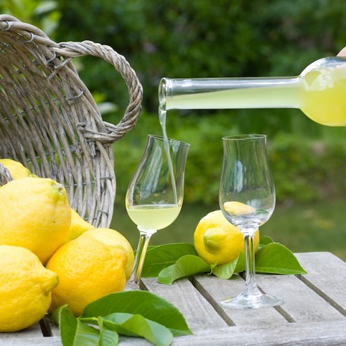 Nuova scheda tecnica per Liquore Limone Costa d’Amalfi: confezionamento e imbottigliamento anche fuori da territorio