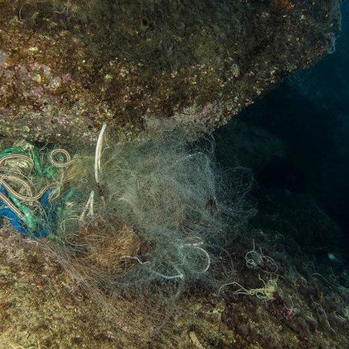 Operazione di pulizia e bonifica a Massa Lubrense, 28 maggio l'iniziativa dell'Area Marina Punta Campanella 