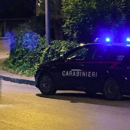 Carabinieri<br />&copy; Massimiliano D'Uva