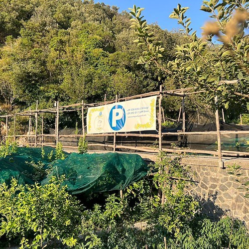 Parking "Sotto i Limoni", a Maiori il nuovo parcheggio al Demanio con servizio navetta