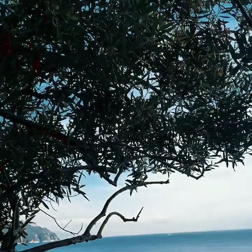 Per Diletta Leotta e Can Yaman fuga romantica in Costiera Amalfitana 