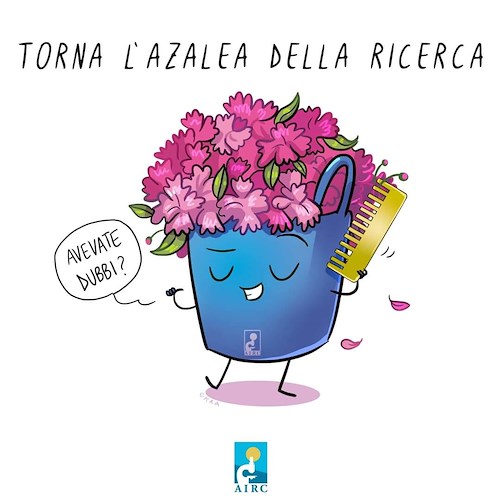 Per la Festa della Mamma in Costa d'Amalfi torna l'Azalea della Ricerca AIRC /ECCO DOVE