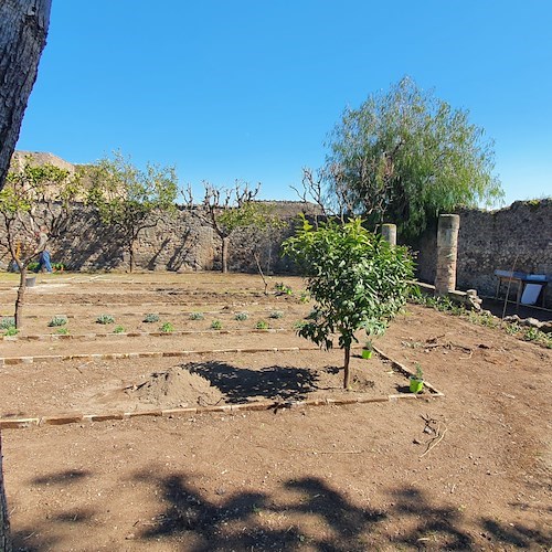 Per la Giornata nazionale del Paesaggio rinasce il vivaio di Pompei presso la Casa di Pansa