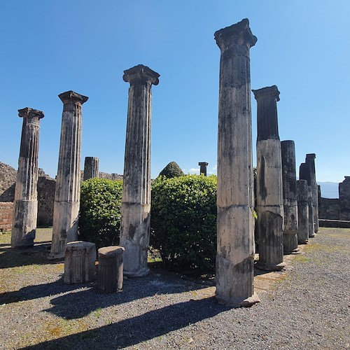 Per la Giornata nazionale del Paesaggio rinasce il vivaio di Pompei presso la Casa di Pansa