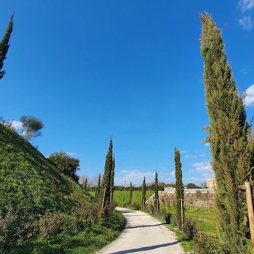 Per la Giornata nazionale del Paesaggio rinasce il vivaio di Pompei presso la Casa di Pansa