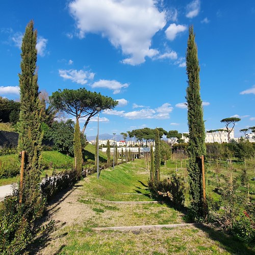 Per la Giornata nazionale del Paesaggio rinasce il vivaio di Pompei presso la Casa di Pansa