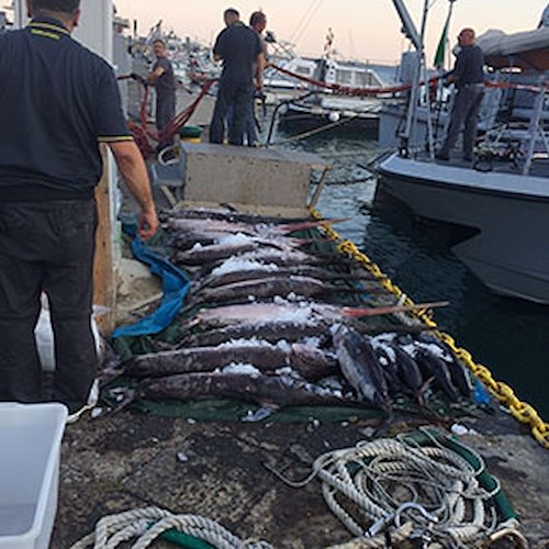  Pesca a strascico: Gdf sequestra tonnellate di pesce a 40 miglia da Capo d’Orso