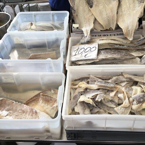 Pesca abusiva di datteri e prodotti privi di etichettatura: nel 2016 in Costa d'Amalfi sanzioni per 60mila euro [FOTO]