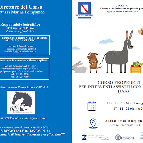 Pet therapy, dal 3 maggio il "Corso Propedeutico per Interventi Assistiti con gli Animali" della Regione Campania