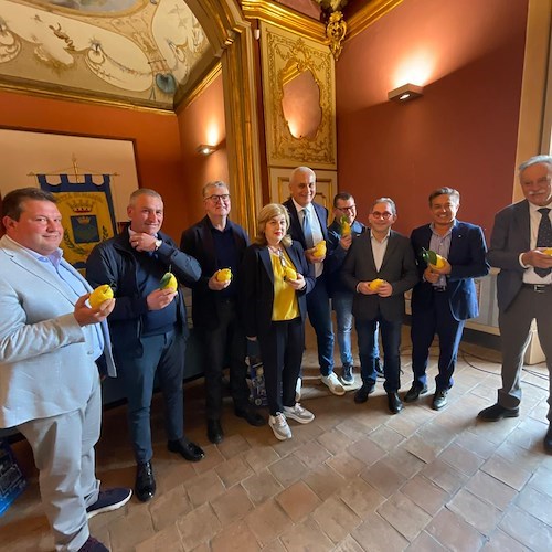 Piano di Sviluppo Rurale Campania: pubblicati 3 nuovi bandi per un totale di 41 milioni di euro
