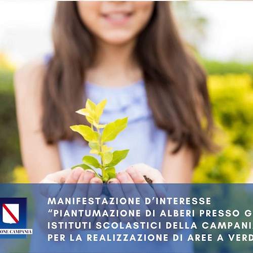 Piantare un albero a scuola per sensibilizzare studenti sui temi naturalistici, l'iniziativa della Regione Campania