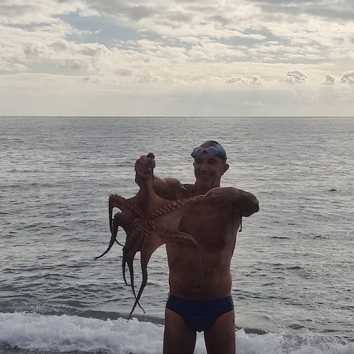 Polpo gigante attacca un bagnante ad Amalfi, quello che è accaduto ha dell'incredibile /foto /video