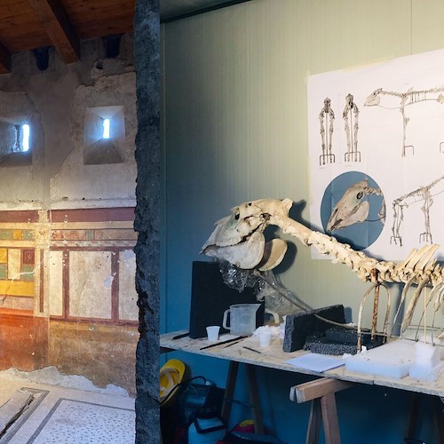 Pompei, la Casa di Cerere e il Cavallo di Maiuri ritornano al pubblico al termine dei restauri