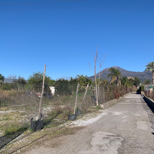 Pompei, un terreno confiscato alla criminalità organizzata in località Civita Giuliana ritorna all'archeologia