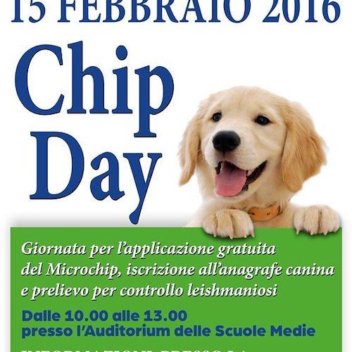 Positano: 15 febbraio 'Chip Day' per gli amici a quattro zampe