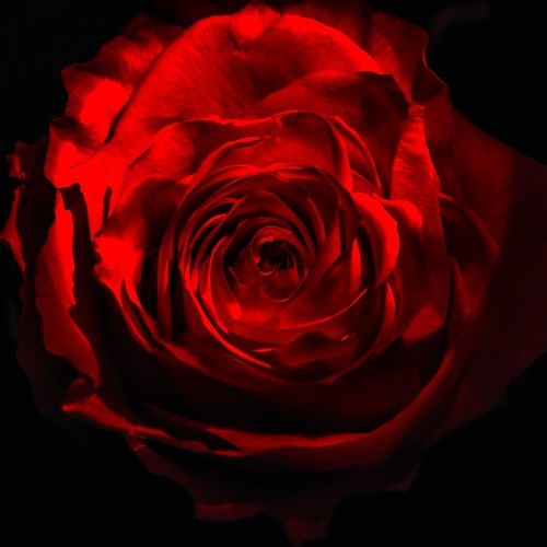 Praiano piange la morte di Rosa Scala, vedova Amendola
