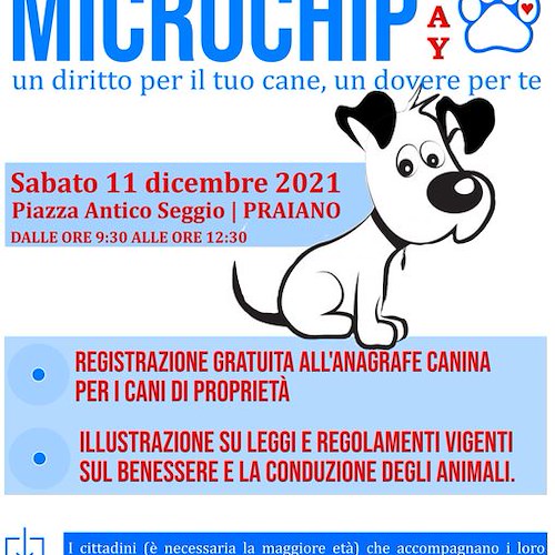 Praiano, sabato 11 dicembre "Microchip Day" presso Piazza Antico Seggio