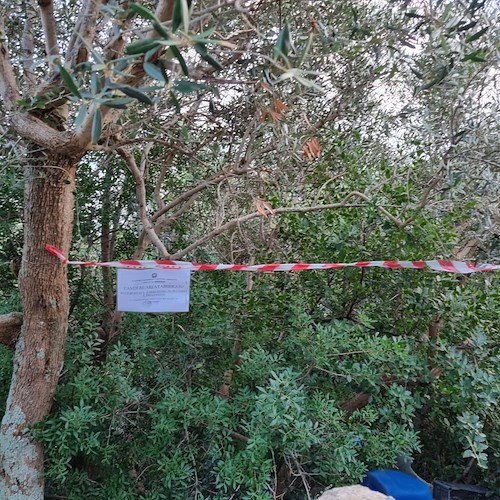 Praiano, sequestrata una discarica abusiva di motoveicoli
