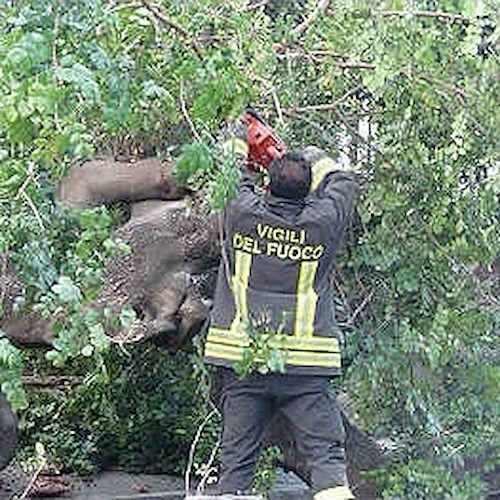 Praiano: ubriaco cade in una scarpata, salvato dai Vigili del Fuoco