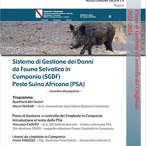 Primo focolaio di Peste Suina Africana in Italia, in Campania organizzato evento divulgativo