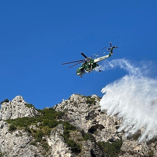 Protezione civile, in Campania 399 incendi boschivi in due mesi. E la stagione estiva non è ancora finita...