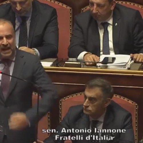 Antonio Iannone<br />&copy; Fratelli d'Italia Senato