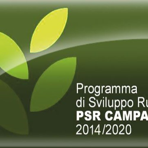 PSR Campania: fino a 1,5 milioni per creazione e ammodernamento di aziende agricole