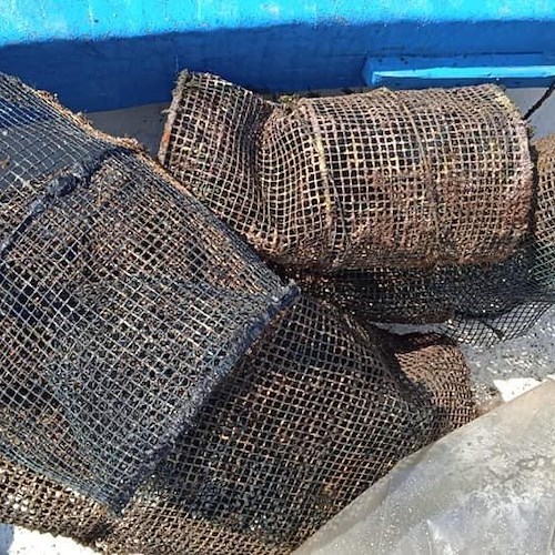 Punta Campanella, raccolti 7 quintali di rifiuti dai fondali di Marina della Lobra