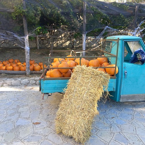 Quando Halloween si trasforma in un'occasione di socializzazione: buona la prima a Tramonti per "Pumpkin Patch"