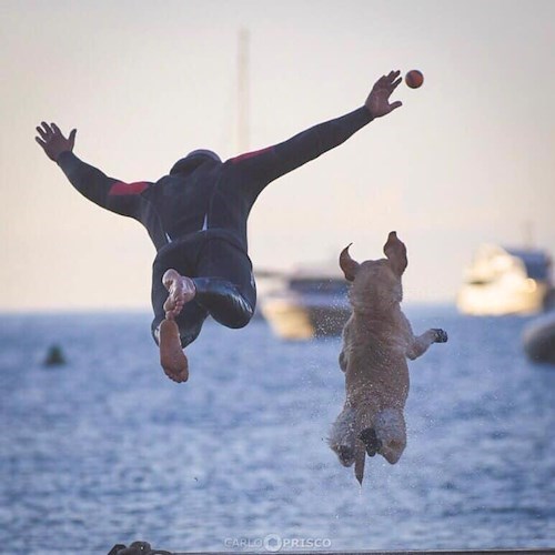 Quel tuffo sincronizzato col suo cane che diventa uno spot per Positano e la Costiera [VIDEO]