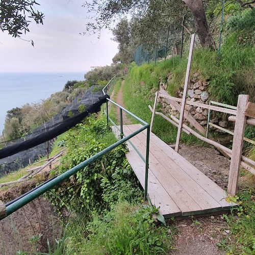 Ravello, a Torello cedimento macere, erbacce e lampioni non funzionanti: la segnalazione di un lettore
