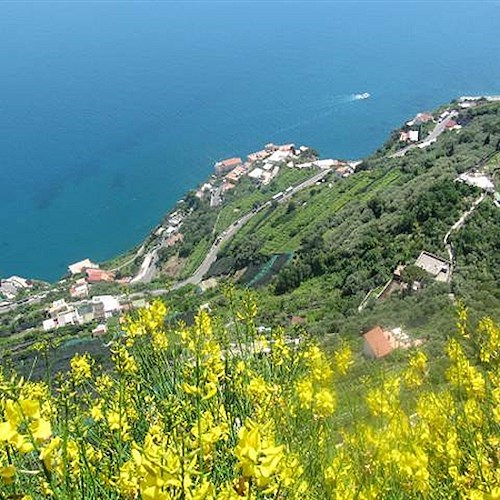 Ravello, all'asta fallimentare terreno agricolo a Civita