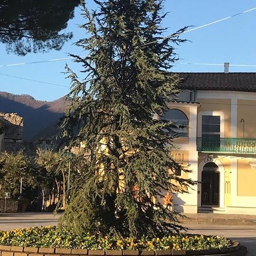 Ravello, anche quest'anno l'albero di Natale in piazza fa... discutere 