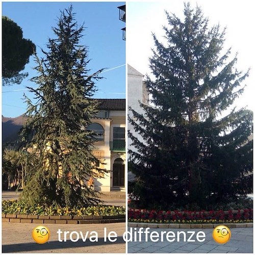 Ravello, anche quest'anno l'albero di Natale in piazza fa... discutere 