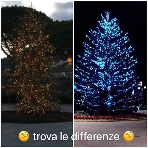 Ravello, anche quest'anno l'albero di Natale in piazza fa... discutere 