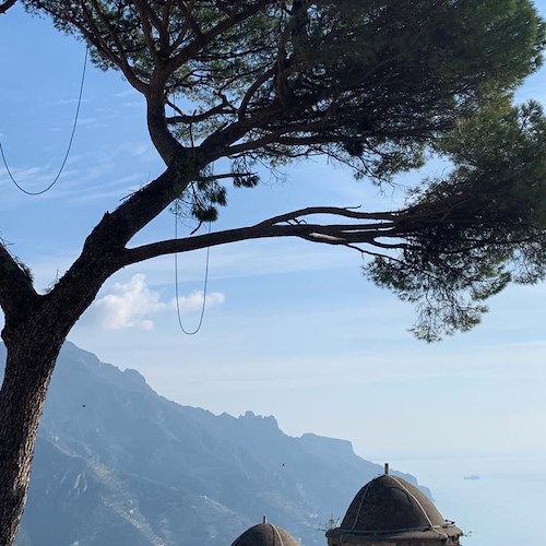 Ravello, il pino che "abbraccia" la Costiera Amalfitana si rifà il look [FOTO]