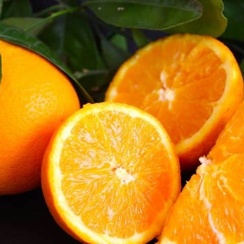 Ricordi amalfitani: le arance di Mariettella