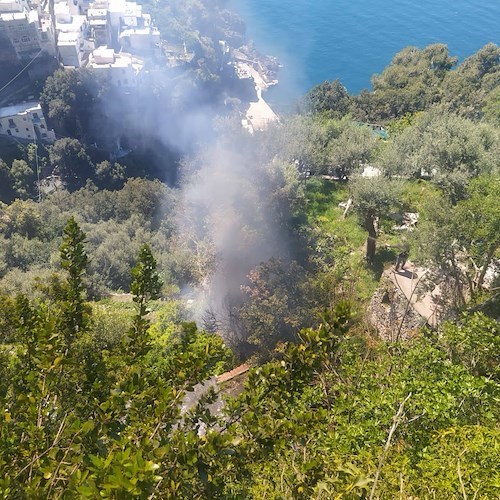 Rischio incendi, fino al 20 settembre è vietato accendere fuochi nei boschi e bruciare residui vegetali