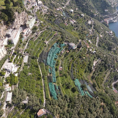 Sabato 28 maggio a Cetara l'incontro sui finanziamenti a tutela dei terrazzamenti della Costa d'Amalfi