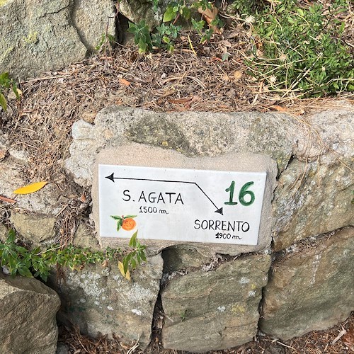 Sabato 5 novembre la presentazione del progetto SorrentoWalks, dedicato a quanti vogliono scoprire le bellezze nascoste del territorio