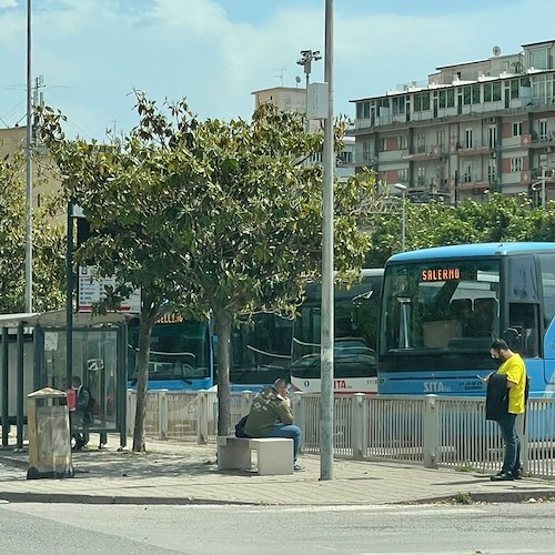 Salerno: abbattuti alberi in Via Vinciprova, il disappunto del consigliere Celano