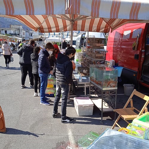 Salerno, negata autorizzazione Antica Fiera di San Matteo: 20 settembre sit-in di protesta di ANVA Confersercenti e fieristi 