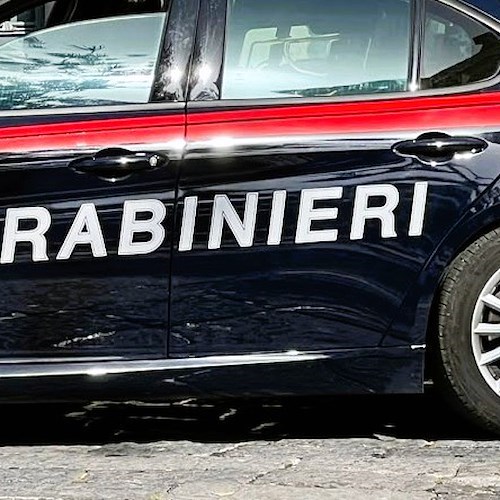 Carabinieri<br />&copy; Massimiliano D'Uva