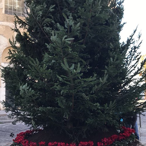 Scala, stasera i bambini accendono l'albero di Natale in piazza