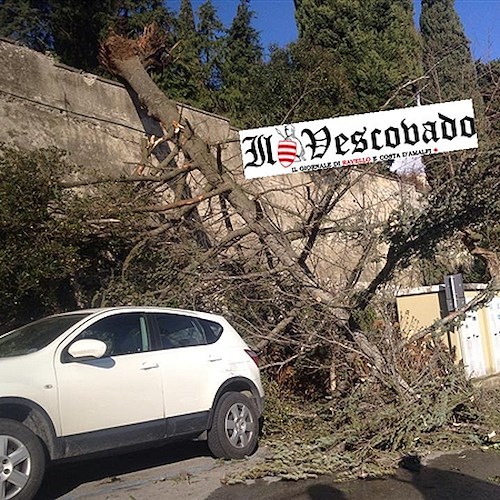 Scala: vento forte sradica abete al Cimitero, danneggiate tombe e un'auto