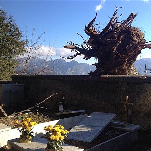 Scala: vento forte sradica abete al Cimitero, danneggiate tombe e un'auto